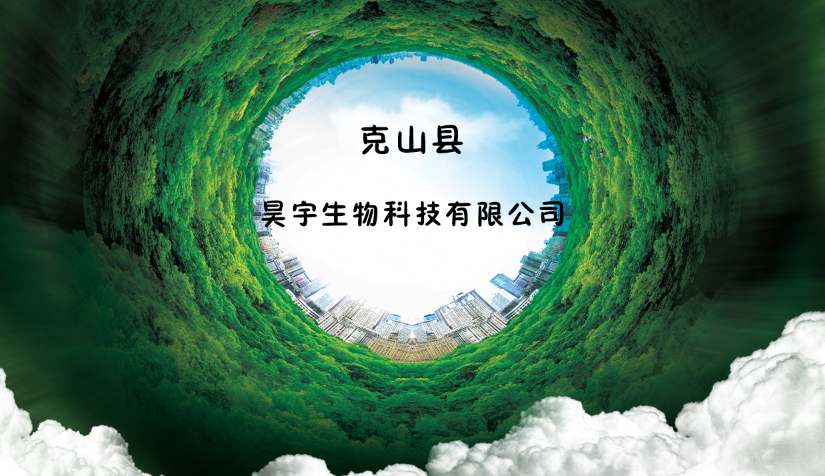 中国新型能源.手机
