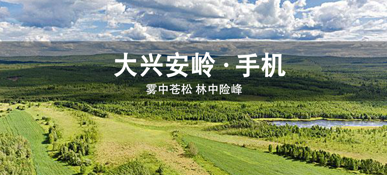 夏季-大兴安岭