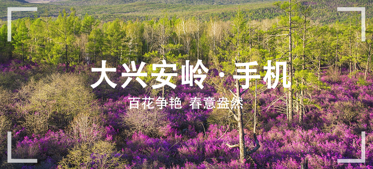 春季-大兴安岭