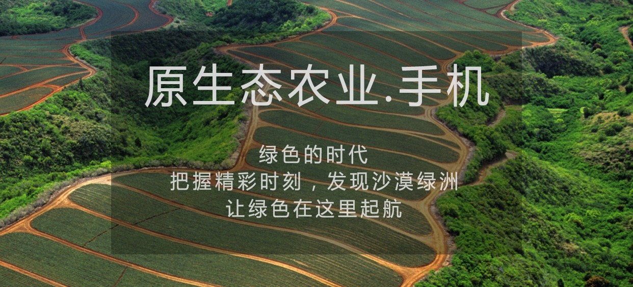 绿色的时代