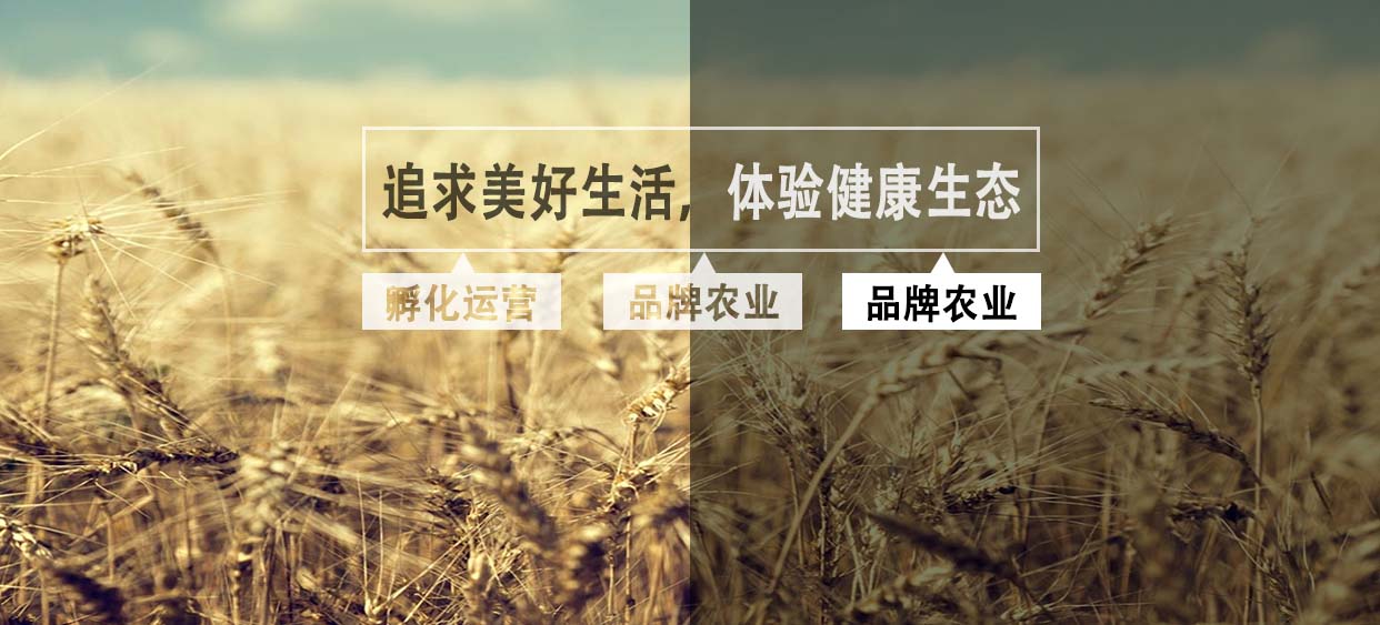 追求美好生活