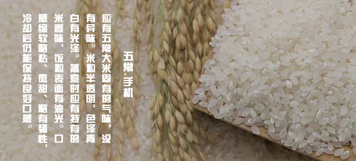 大米介绍