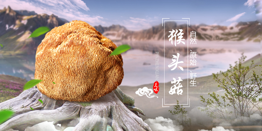 猴头菇