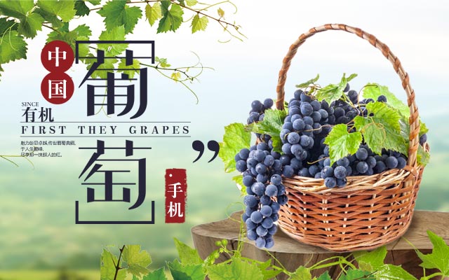 中国葡萄.手机-全球通用顶级域名