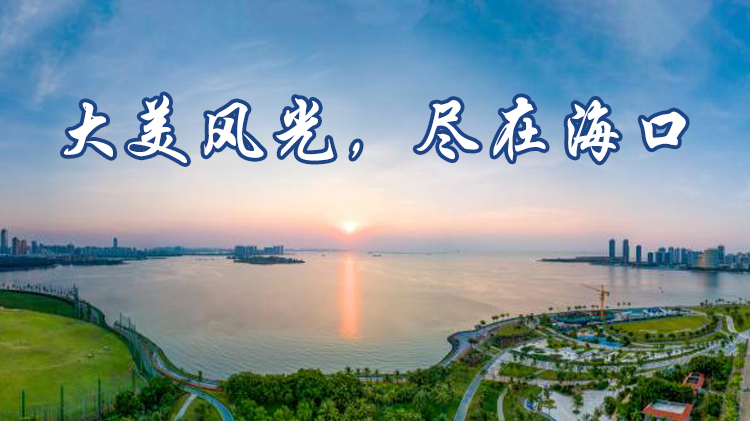 海口市.手机