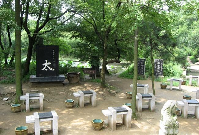 临池十八缸